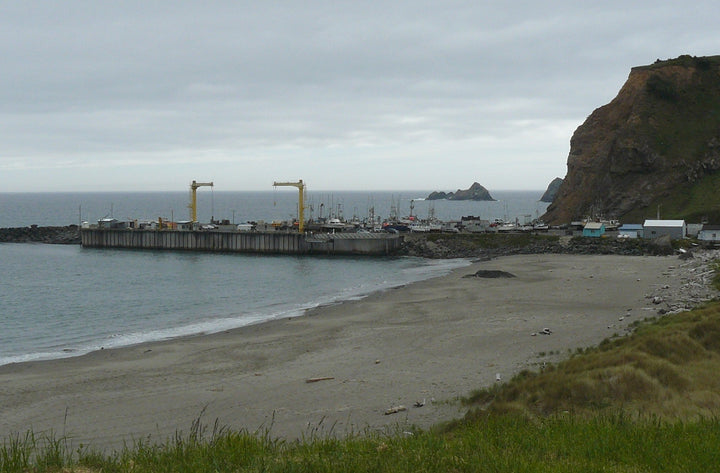 Port Orford- A Legacy of Preparedness, A Story of Success