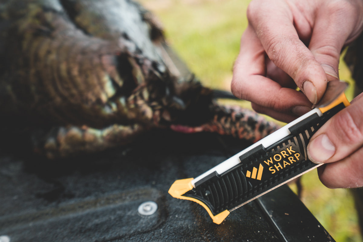 How To Butcher A Wild Turkey – Work Sharp Tools